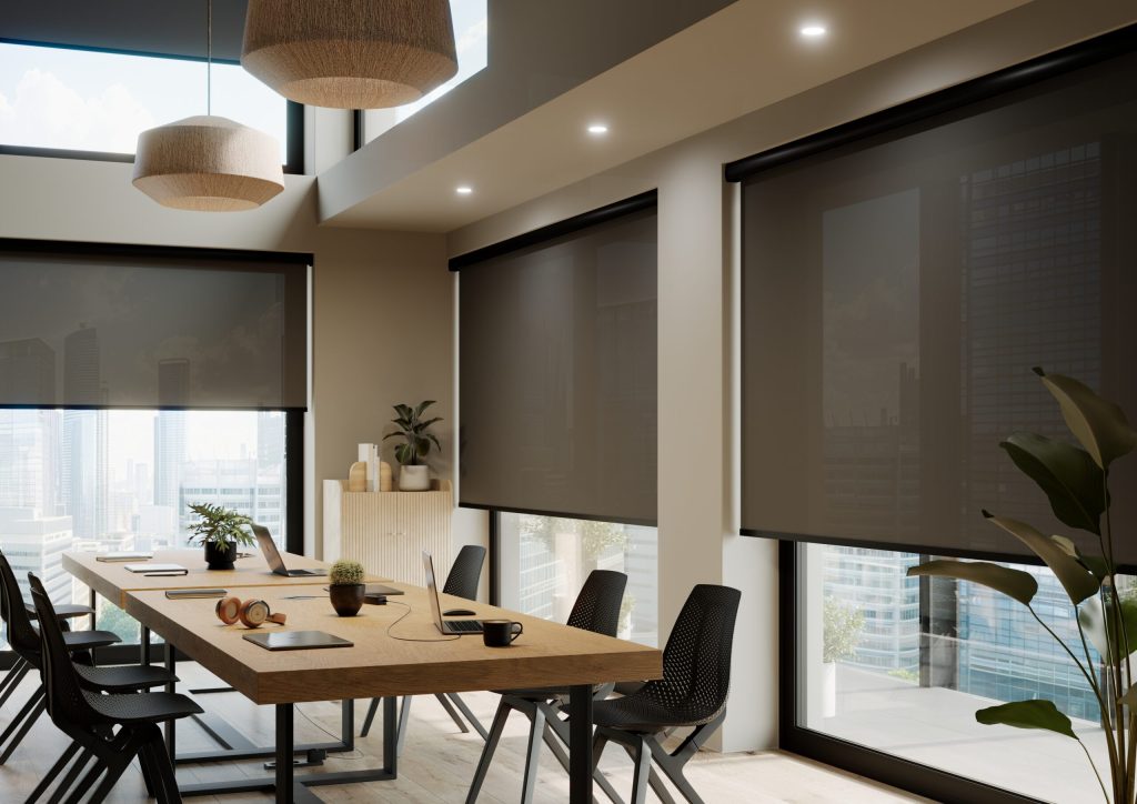 Modern Roller Shades