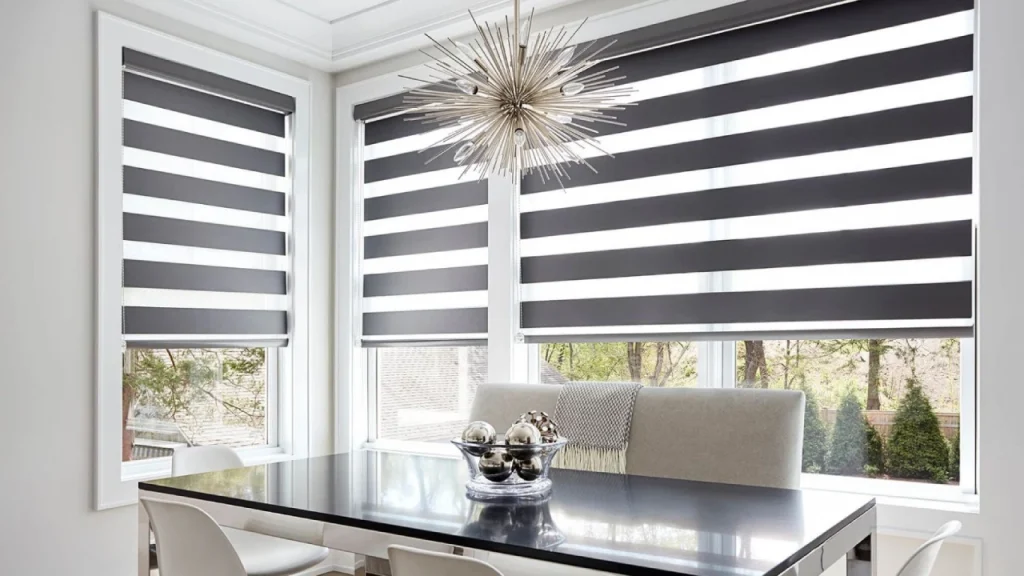 Modern Zebra Blinds