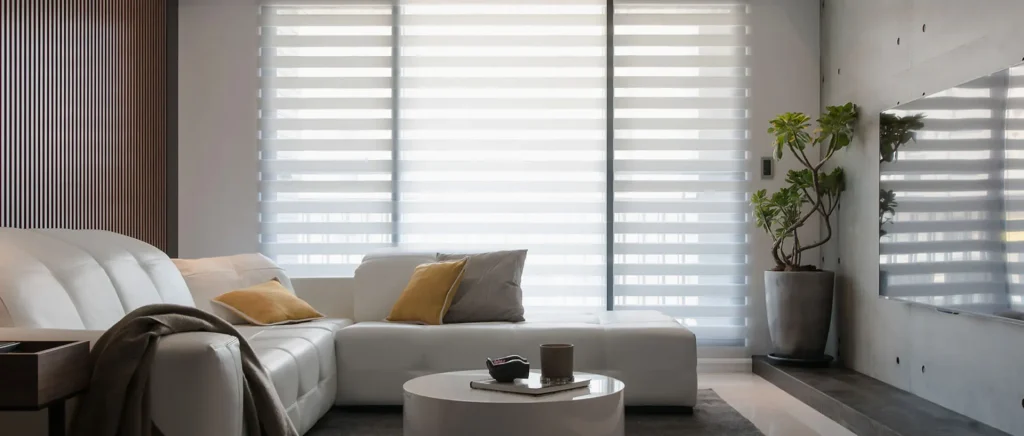 Modern Zebra Blinds